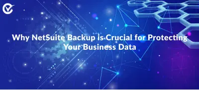 The Importance of NetSuite Backup Safeguarding Your Business Data